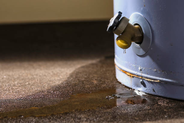 Best Professional water damage repair  in Santa Venetia, CA