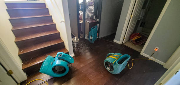 Best Flooded house restoration  in Santa Venetia, CA
