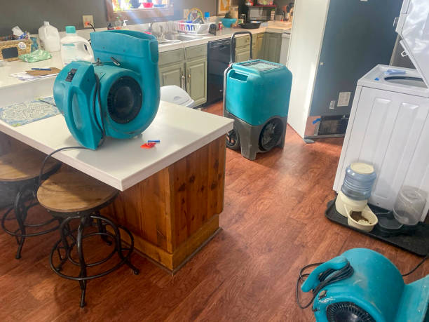 Best Residential water damage restoration  in Santa Venetia, CA
