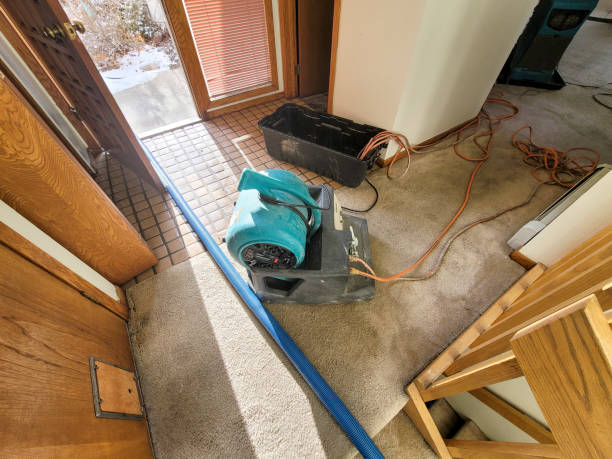 Best Flood damage cleanup  in Santa Venetia, CA