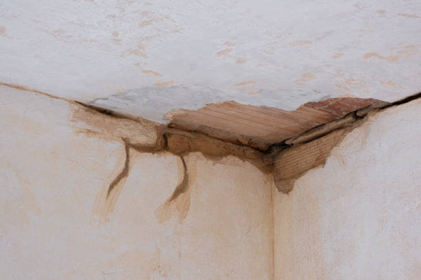 Best Sewage cleanup and water damage restoration  in Santa Venetia, CA