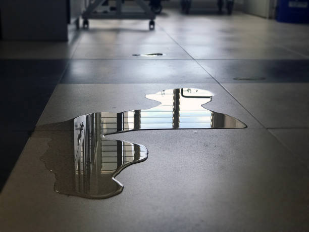 Best Commercial water damage restoration  in Santa Venetia, CA