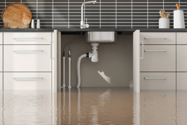 Best Water damage restoration near me  in Santa Venetia, CA